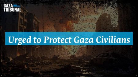 Human rights advocates gather at a press conference, emphasizing the need for intervention in Gaza.
